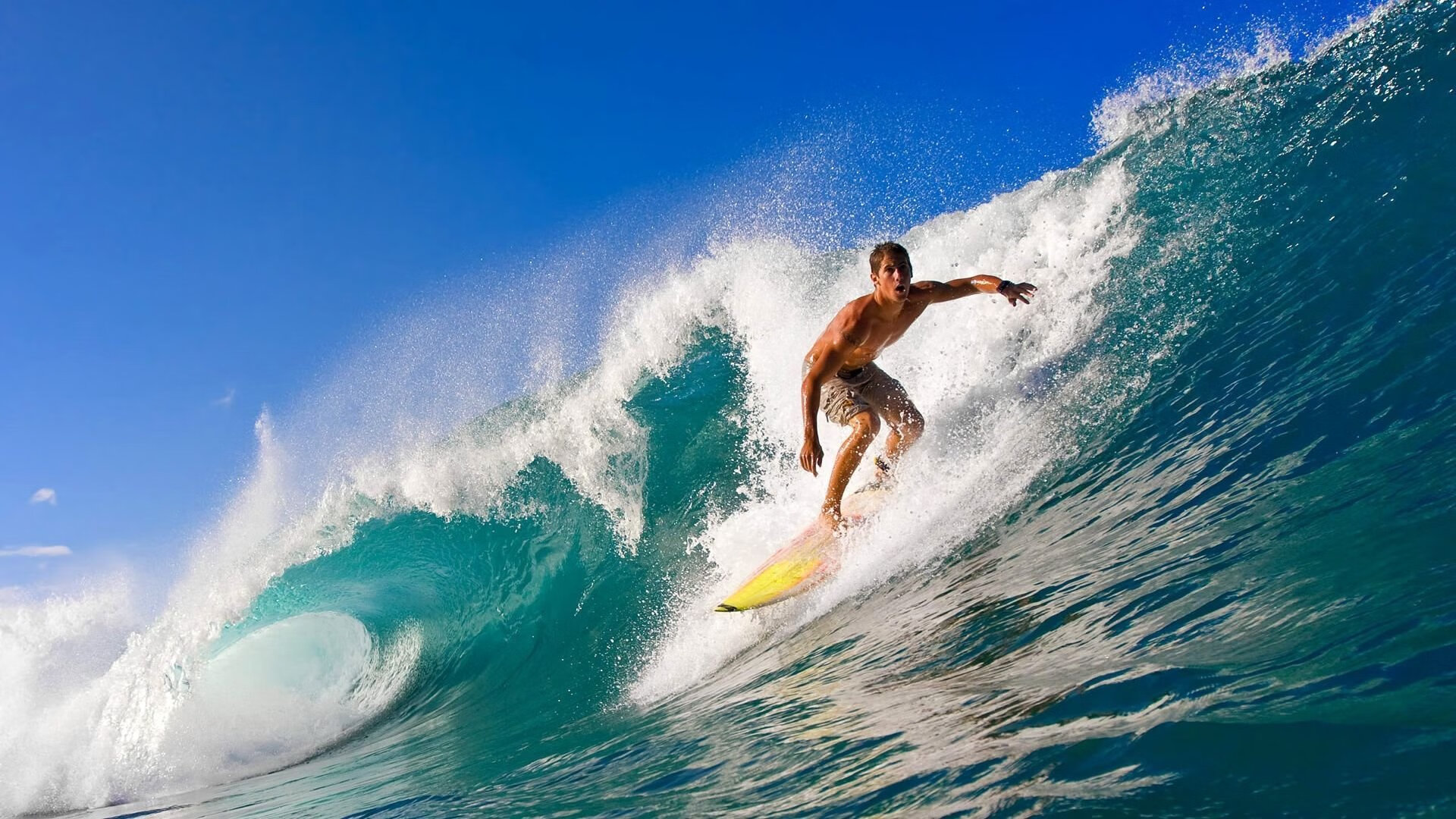 克莱尔·柯尔赞决赛发挥获媒体关注,克莱尔库赞